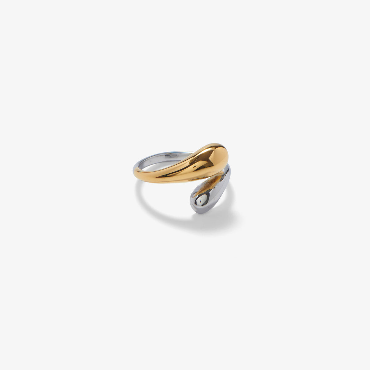 PRISMA. ring