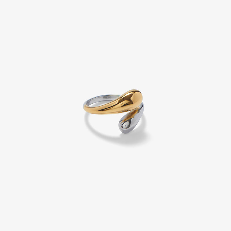 PRISMA. ring